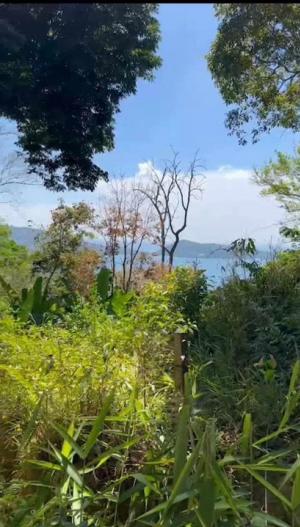 ขายที่ดินภูเก็ต : Land for sale in Patong Phuket