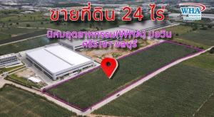 ขายที่ดินศรีราชา แหลมฉบัง บ้านบึง : ที่ดิน นิคมอุตสาหกรรมโรจนะ บ่อวิน WHA / (ขาย), Land Rojana Industrial Estate Bowin WHA / (SALE) NEWC148