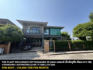 For RentHousePattanakan, Srinakarin : FOR RENT THE PLANT EXCLUSIQUE PATTANAKARN / 4 bedrooms 4 bathrooms 75 Sqw. 250 Sqm. **130,000** JUST 20 MIN TO THONGLOR