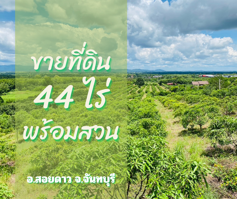 ขายที่ดินจันทบุรี : ขายที่ดิน พร้อมสวน 44 ไร่ ติดเชิงเขา ราคาถูก เดินทางสะดวก ทำเลทอง สอยดาว จันทบุรี ฟรีค่าโอน+ภาษี