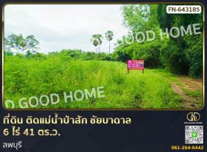 ขายที่ดินลพบุรี : ที่ดิน ติดแม่น้ำป่าสัก ชัยบาดาล 6 ไร่ 41 ตร.ว. ลพบุรี