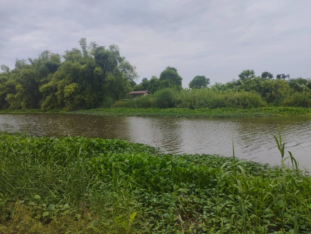 For SaleLandSuphan Buri : Cheap land for sale on the riverside in Sam Chuk, Suphan Buri, 900,000 baht per rai, area 2 rai 40 sq m.