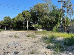 For SaleLandNakhon Pathom : Land for sale, already filled, 4-2-76 rai, 1,200,000 baht per rai, Thung Krapang Ho Subdistrict, Kamphaeng Saen District, Nakhon Pathom Province. 待售土地，已填滿，4-2-76 萊，每萊 1,200,000 泰銖，位於佛統府甘烹盛區 Thung Krapang Ho 分區。