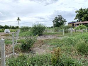 ขายที่ดินปทุมธานี รังสิต ธรรมศาสตร์ : ขาย ที่ดินถมแล้ว สามโคก ปทุมธานี เหมาะปลูกบ้านพักที่อยู่อาศัย