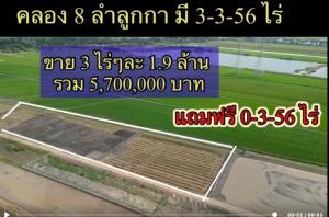 ขายที่ดินปทุมธานี รังสิต ธรรมศาสตร์ : ที่ดินคลอง8 ลำลูกกา ปทุมธานี