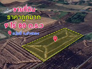 ขายที่ดินอ่างทอง : ขายด่วนที่ดินราคาถูก เนื้อที่ 9 ไร่ 80 ต.ร.ว. โคกพุทรา อ.โพธิ์ทอง จ.อ่างทอง