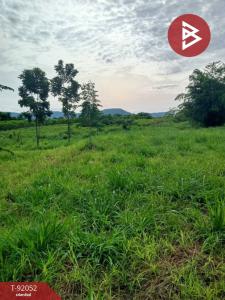 For SaleLandKorat Nakhon Ratchasima : Land for sale, area 2 rai, Pak Chong, Nakhon Ratchasima