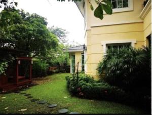 ให้เช่าทาวน์เฮ้าส์/ทาวน์โฮมพัฒนาการ ศรีนครินทร์ : 5-Story Pet-Friendly Townhouse  for Rent