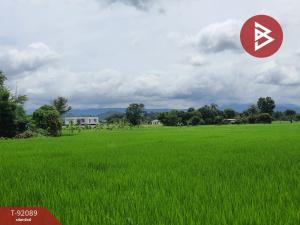 For SaleLandNakhon Nayok : Land for sale, area 19 rai 3 ngan 32 square wa, Sarika, Nakhon Nayok