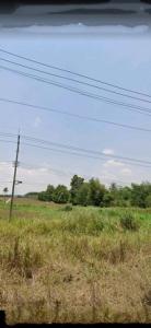 For SaleLandRayong : SLJ0136 Land for sale, purple pattern area, Phatthana Nikhom, Ban Khai, Rayong Province, 24 rai