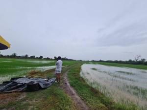 For SaleLandChachoengsao : Large plot of land for sale, beautiful plot, 67 rai, 2 ngan, 93 square wa, on the road, near the community, Bang Khla, Chachoengsao Province