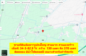 ขายที่ดินสมุทรสงคราม : ขายที่ดินแปลงใหญ่ สวยมาก แปลงสวนมะพร้าวผืนใหญ่ 34-3-82.9 ไร่ ที่ตั้ง: ถนนอนามัย-บ้านสี่แยก ตำบลปลายโพงพาง อำเภออัมพวา จังหวัดสมุทรสงคราม