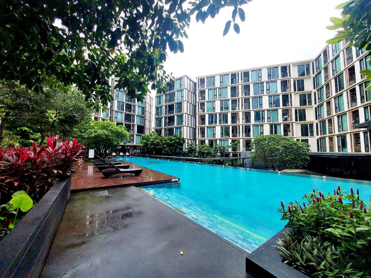 For RentCondoPhuket : Looking for Short-term 1 BedRoom Condo at Center of Phuket The Base up town 1 bedroom in the heart of Phuket (Looking for Shorterm Contract)