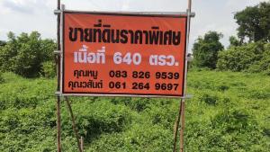 ขายที่ดินปทุมธานี รังสิต ธรรมศาสตร์ : ที่ดินสวย  รอเจ้าของมาจับจอง