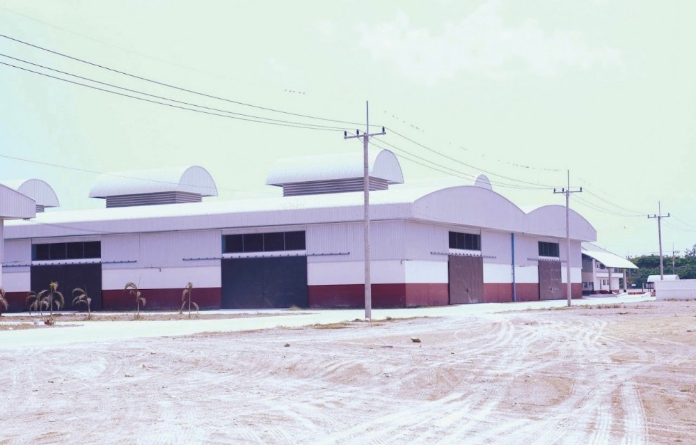 For RentWarehouseAyutthaya : For rent: Large warehouse, Nakhon Luang District, Phra Nakhon Si Ayutthaya Province