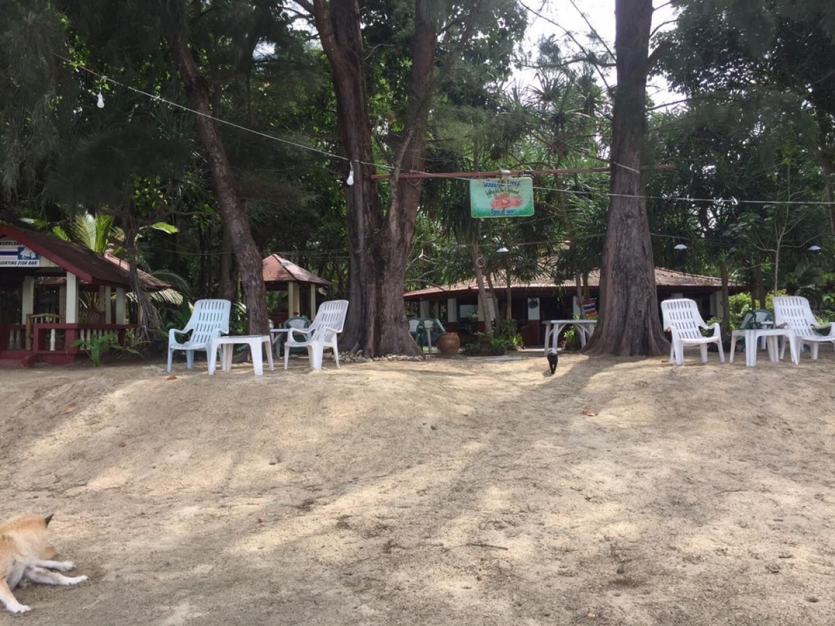 For SaleBusinesses for saleKrabi : Land and bungalows for sale, next to the sea, Koh Jum Beach, Nuea Khlong District, Krabi Province 🏝️ Total area 7 rai 43 sq m, ready to transfer the red Garuda deed, there is still an area left at the beginning of the field, at the end of the field, total