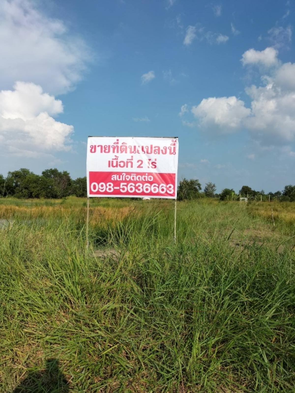 For SaleLandNakhon Nayok : Land for sale in Nakhon Nayok, Khlong 24, Ongkharak, 2 rai, negotiable price