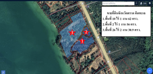 For SaleLandTrat : Beautiful land for sale on the beach in Trat Province, 39 rai, just built a new internal road, convenient travel, suitable for a resort, a house, there is a fruit orchard with more than 600 trees, ready to harvest, definitely good profit, very good locati