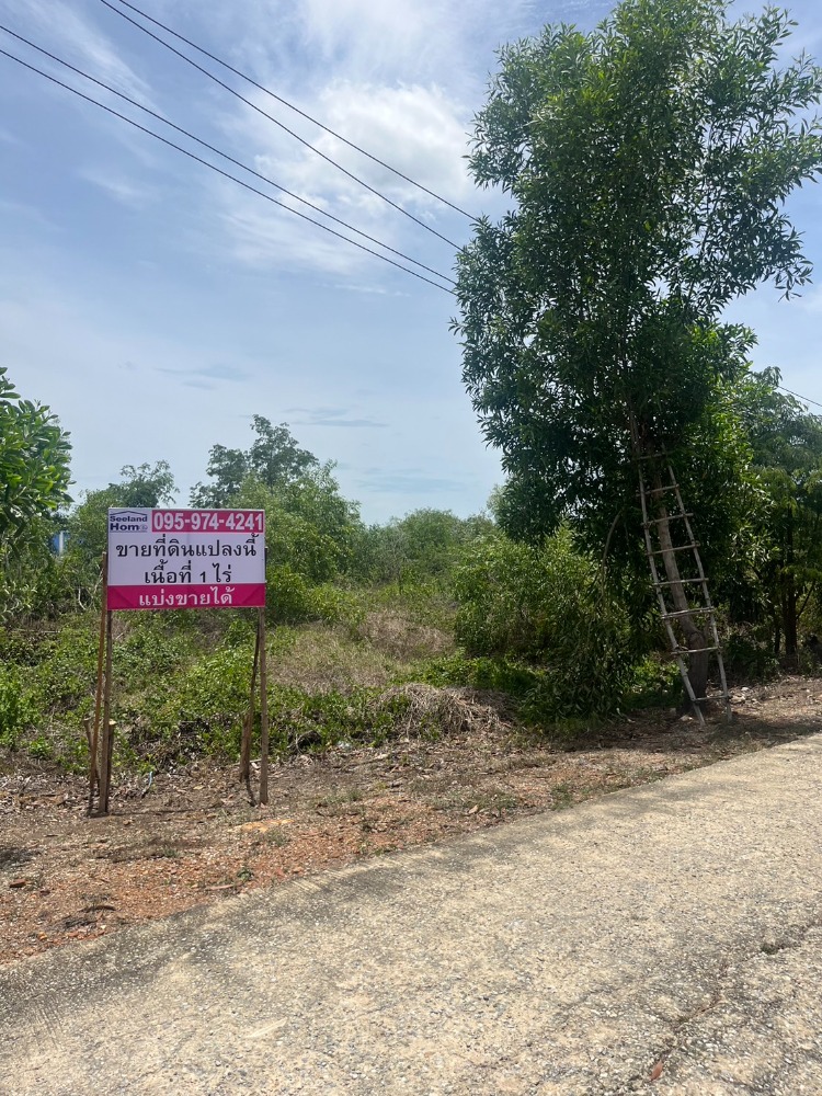 ขายที่ดินสุพรรณบุรี : ที่ดิน 1 ไร่ แปลงมุม ถูกที่สุด ใกล้วัดไผ่โรงวัว จ.สุพรรณบุรี