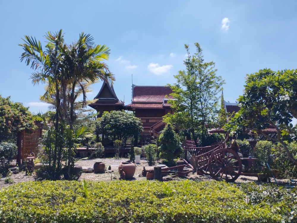 For SaleHousePathum Thani,Rangsit, Thammasat : Thai-style garden house with over 2 rai of land, not far from Bangkok.