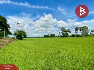 For SaleLandChai Nat : Urgent sale of vacant land, area 23 rai 2 ngan 4 sq m, Sapphaya, Chainat