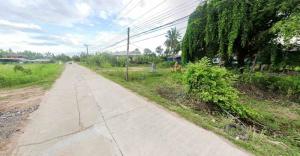 For SaleLandNakhon Sawan : Land for sale, front facing concrete, back facing Nan River, Chumsaeng District, 3 ngan 40 sq w., good price.