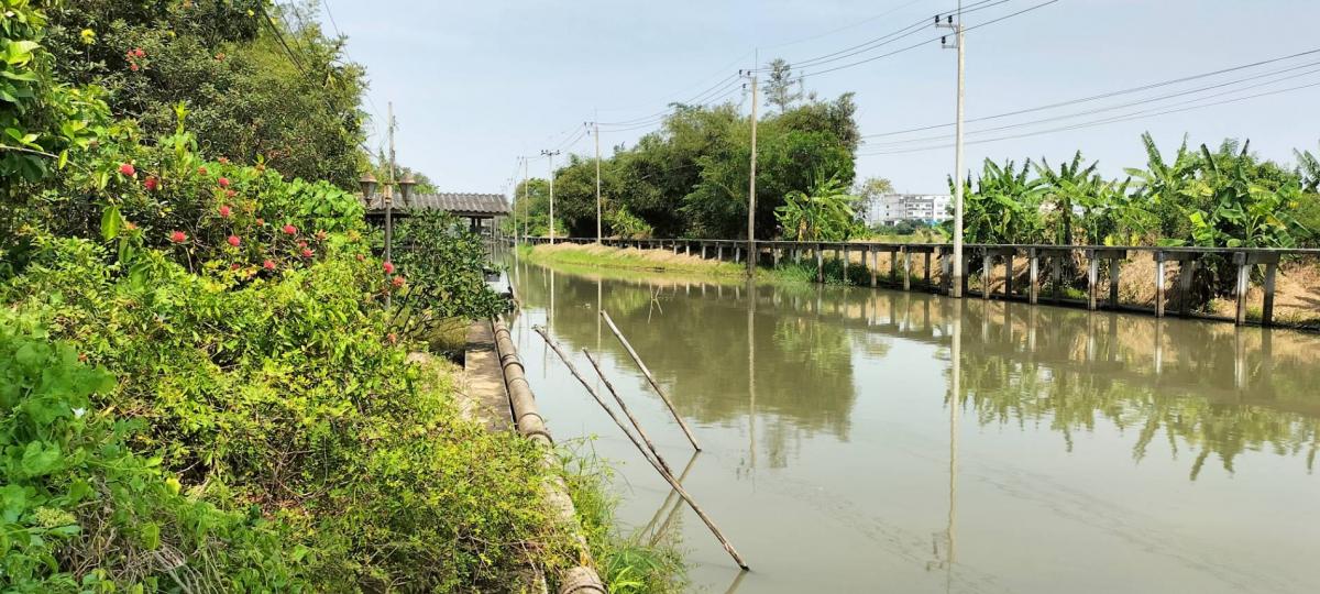 ขายที่ดินฉะเชิงเทรา : ที่ดินสุวินทวงศ์ 110 ที่ดินติดทางออกติดฮาราจูกุ หน้าถนนหลังติดน้ำ