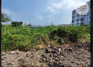 For SaleLandRama5, Ratchapruek, Bangkruai : Land for sale, 175 sq m., Soi Tiwanon 24, Intersection 2/3