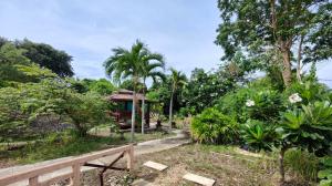 For SaleLandRayong : Land for sale, 35 rai, Mae Ramphueng Beach, Taphong, Mueang, Rayong.