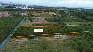 For SaleLandRayong : Land for sale 12 Rai back side is canel