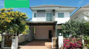 For RentHouseChiang Mai : A house for rent near by 5 min to HomePro Sansai, No.5H422