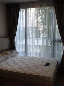 For RentCondoOnnut, Udomsuk : For rent: The Nest Sukhumvit 64, 1 bedroom, 1 bathroom, 28 sq m., 2nd floor