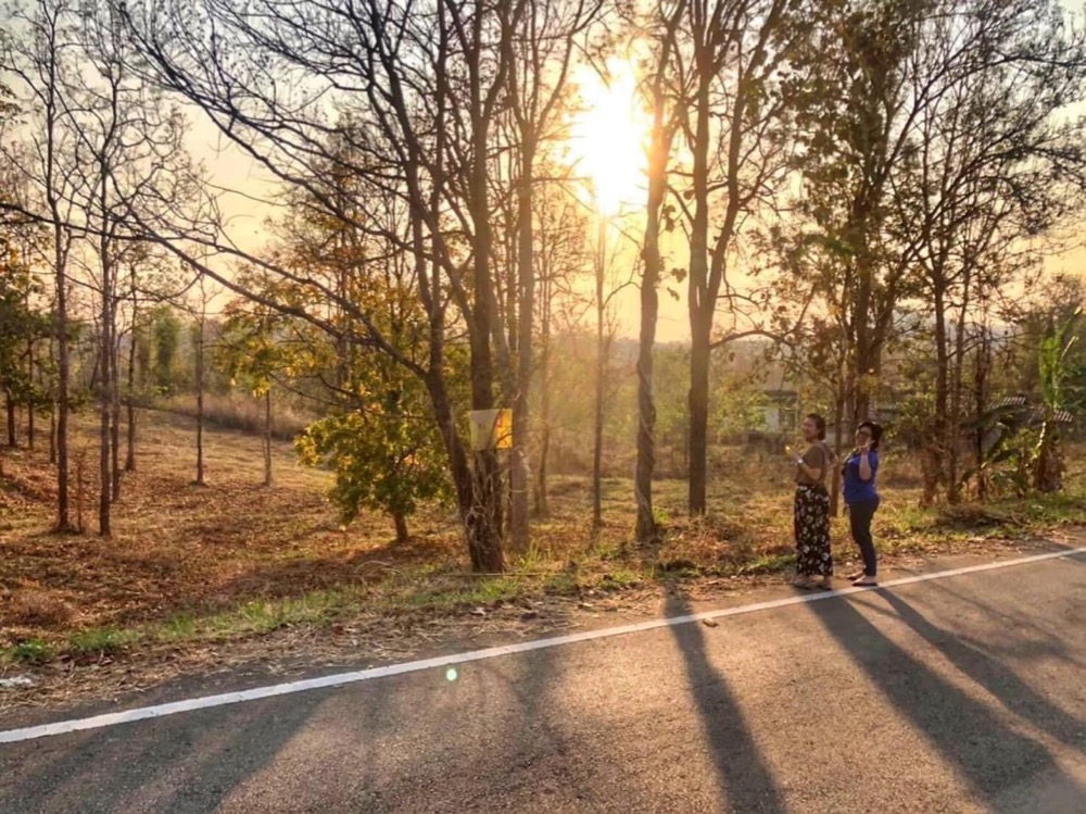 ขายที่ดินเชียงใหม่ : ที่ดินเชียงใหม่1-2ไร่ วิวสวยหลักแสน โซนดอยสะเก็ด