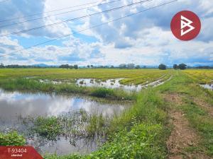 For SaleLandPhetchabun : Urgent sale, vacant land, area 14 rai 2 ngan 10 square wa, Nong Phai, Phetchabun