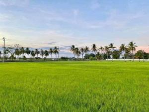 For SaleLandMin Buri, Romklao : 📢👇Selling beautiful land, surrounding area with good air and atmosphere, suitable for building a wellness center, village, etc.