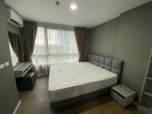 For RentCondoPathum Thani,Rangsit, Thammasat : For rent, Condo Ril Condo Rangsit, near Rangsit University