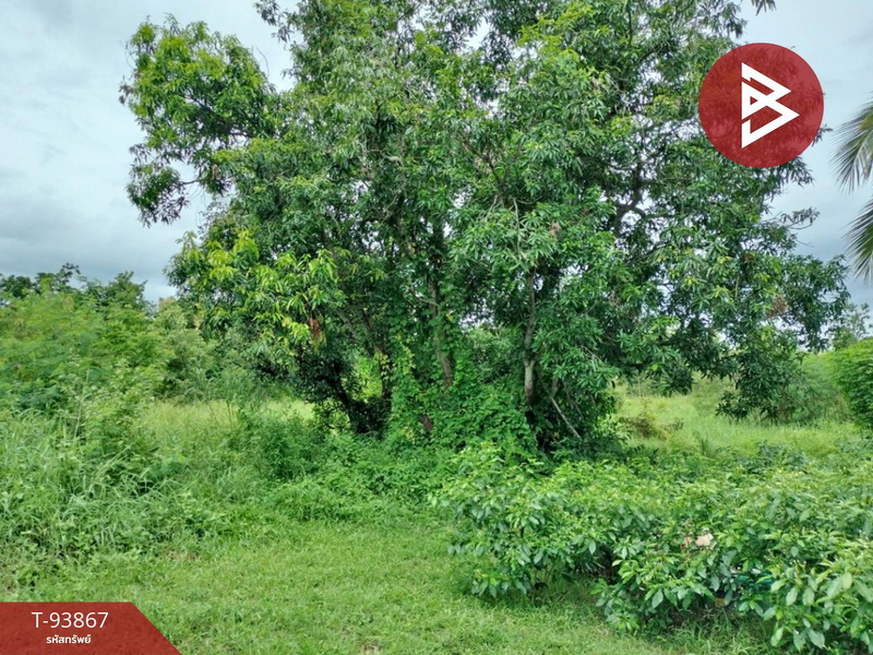 For SaleLandPhetchabun : Urgent sale, vacant land, area 10 rai 1 ngan 69 square wa, Lom Sak, Phetchabun