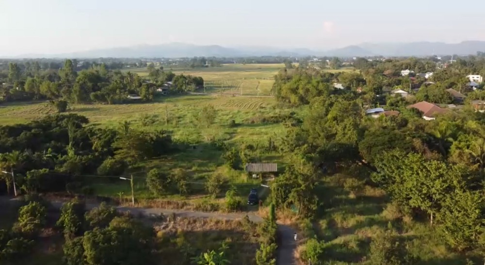 ขายที่ดินเชียงใหม่ : ที่ดิน ดอยสะเก็ด เชียงใหม่ ใกล้วัดพระธาตุดอยสะเก็ด ใกล้โรงพยาบาลดอยสะเก็ด ใกล้ที่ว่าการอำเภอดอยสะเก็ด ที่ถมแล้ว