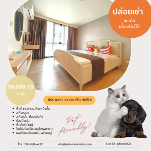 For RentCondoRama9, Petchburi, RCA : Pet friendly😸🐶 For rent📌Maestro 03 Ratchada - Rama 9 (Line:@rent2022) Beautiful room, ready to move in, good price!!