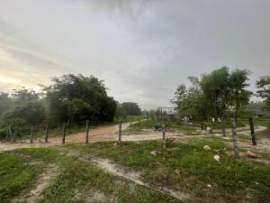 For SaleLandLampang : Land for sale near the hot spring, Chae Son, Lampang