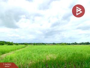 For SaleLandPhetchabun : Land for sale, area 10 rai, Na Pa, Phetchabun