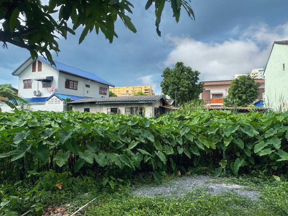 ขายที่ดินแจ้งวัฒนะ เมืองทอง : ขายที่ดิน ซอยมิตรประชา 40 ปากเกร็ด เนื้อที่ 80 ตร.ว.