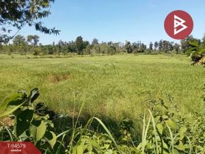 For SaleLandAmnat Charoen : Land for sale, 15 rai 96 square wa, Nong Mae Saeo, Amnat Charoen