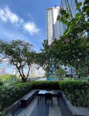 For RentCondoOnnut, Udomsuk : 🎏🪅Condo The Base Sukhumvit 77🪅🎏🚝 Near BTS On Nut🚗 Near Chalong Rat Expressway🏙️ 28th floor, size 30.34 sq m. (1 bedroom, 1 bathroom) Building A (balcony with On Nut Road view)💵 15,000 baht / month (1 year contract)💵 14,500 baht / month (2 year contract)(s