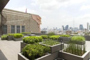 For RentShowroomSilom, Saladaeng, Bangrak : Public Rooftop Garden