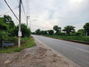 ขายที่ดินปทุมธานี รังสิต ธรรมศาสตร์ : ขาย ที่ดินราคาถูก จ.ปทุมฯ อ.หนองเสือ ต.บึงกาสาม ขนาด 100 ตรว.