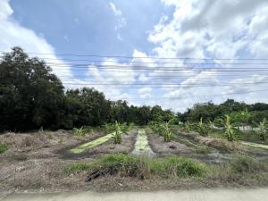 For SaleLandNakhon Pathom : Beautiful plot of land, Thaiyawas-Nakhon Chai Si