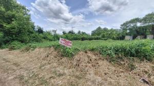 For SaleLandMahachai Samut Sakhon : For sale cheap❗️Land near #Central Mahachai, Samut Sakhon