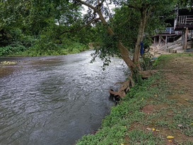 For SaleLandNakhon Nayok : Urgent sale of the entire plot of land!! Land next to the Nakhon Nayok River, near the Khun Dan Prakan Chon Dam, suitable for a resort and cafe, before reaching Sarika Waterfall. 📞If interested, call! 098-741-5399 Ms. Nok