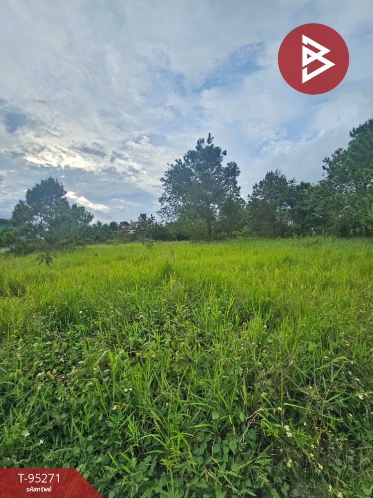 For SaleLandPhetchabun : For sale: 2 plots of vacant land, total area 2 rai, 2 ngan, 75 square wa, Khao Kho, Phetchabun